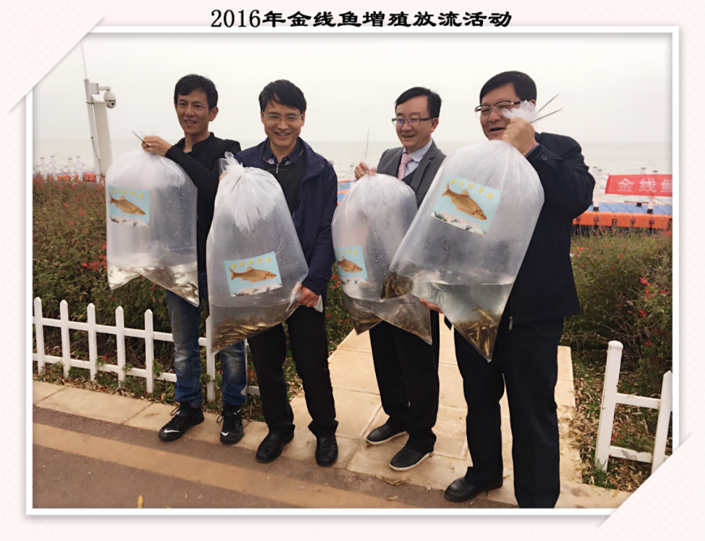 图片4 - 副本.png