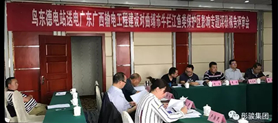 乌东德电站输电工程专题评价报告专家评审会