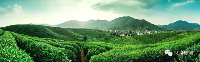 1.webp.jpg 1.webp.jpg