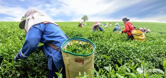 2.webp.jpg 2.webp.jpg