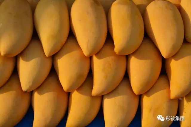 4.webp.jpg 4.webp.jpg