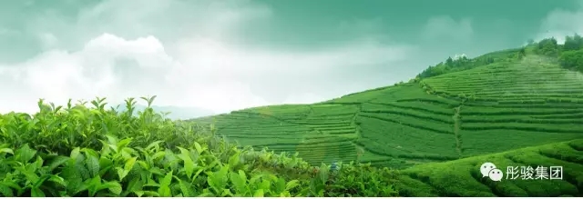 6.webp.jpg 6.webp.jpg