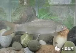 2.webp.jpg 2.webp.jpg